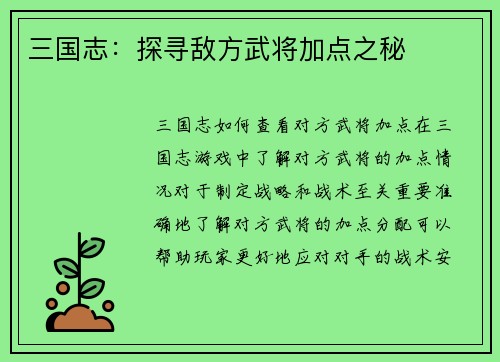 三国志：探寻敌方武将加点之秘